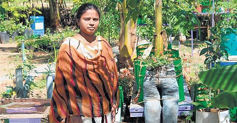 களம் புதிது: நிலத்தில் மாடித் தோட்டம்!