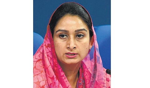 பஞ்சாபில் அகாலி தளம் - பாஜக கூட்டணி ‘ஹாட்ரிக்’ சாதனை நிகழ்த்தும்﻿ - மத்திய அமைச்சர் ஹர்சிம்ரத் கவுர் நம்பிக்கை﻿