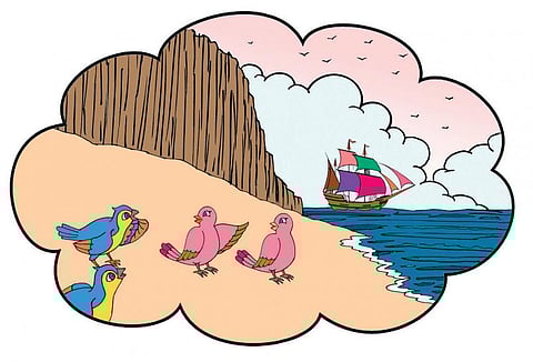 சித்திரக்கதை: பறவைகள் கண்ட புது அனுபவம்!﻿