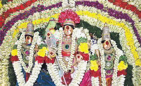 பழநியில் தைப்பூச தேரோட்டம்﻿