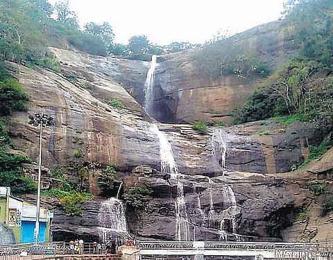 நெல்லையில் இதமான காலநிலை﻿﻿ சேர்வலாறு அணையில் 23 மி.மீ. மழை﻿