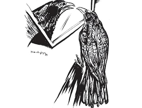 கடவுளின் நாக்கு 33: அழகின் அடையாளம்!