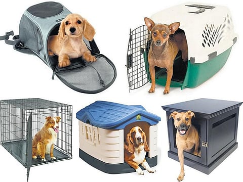 செல்லப் பிராணிகளுக்கு ஒரு வீடு