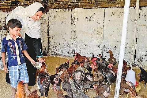 முகங்கள்: இது ரசூல் பீமா சபதம்!