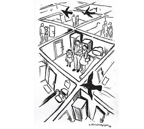 கடவுளின் நாக்கு 35: நிறம் மாறிய பறவை!