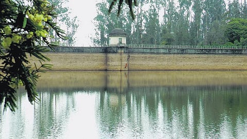 நீலகிரி மாவட்டத்தில் தொடர் மழை﻿: குன்னூர் ரேலியா அணை நீர்மட்டம் உயர்வு﻿