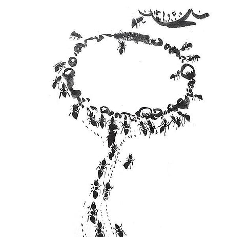 கடவுளின் நாக்கு 36: அறிவின் துணை!