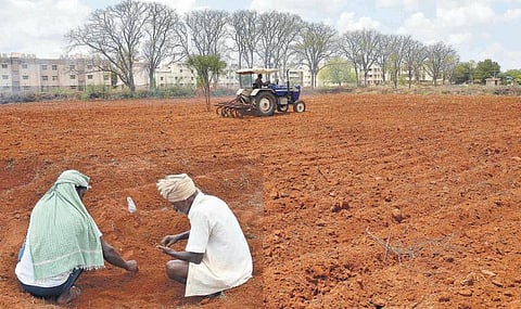 திருச்சி சிறை வளாக தோட்டம் 197 ஏக்கரில் விரிவுபடுத்தப்படுகிறது﻿: மரங்கள், கரும்பு, காய்கறி, மலர்ச் செடிகள், பணப் பயிர்கள் நடும் பணி தொடக்கம்﻿﻿