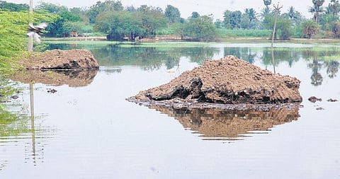 வாணாபுரம் ஏரியில் கொட்டப்பட்ட கழிவுகள்﻿: கிராம மக்கள் கடும் எதிர்ப்பு﻿﻿