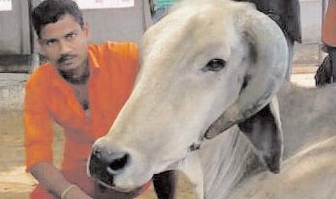 கோரக்நாத் கோயிலில் தொண்டாற்றும் முஸ்லிம் இளைஞர்﻿: முதல்வர் யோகி ஆதித்யநாத்தின் அன்புக்குரியவர்﻿