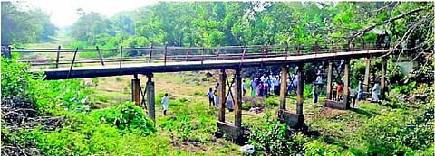 மயிலாடுதுறை அருகே வீரசோழனாற்றில்: புதிய பாலம் அமைக்க மக்கள் கோரிக்கை﻿