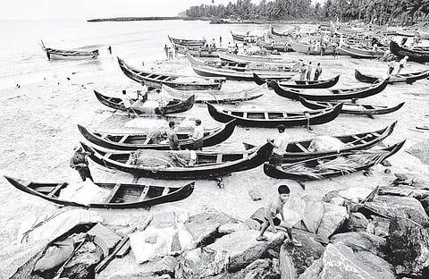 மீன்பிடி தொழில் பற்றி நமக்கு என்ன தெரியும்?﻿