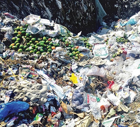 வேதிப்பொருட்கள் உதவியுடன் பழுக்க வைத்த மாம்பழங்கள் பறிமுதல்﻿: வியாபாரிகளுக்கு அதிகாரிகள் எச்சரிக்கை﻿