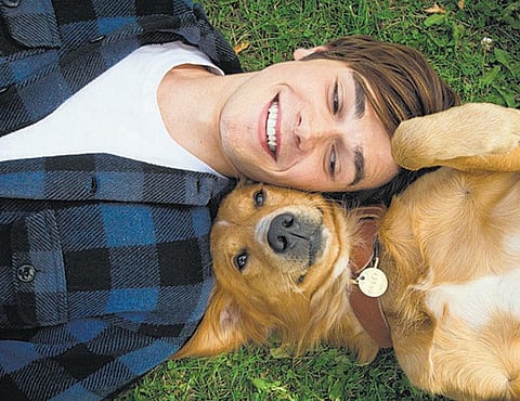 கலக்கல் ஹாலிவுட்: மறுபிறவி எடுக்கும் நாய்!