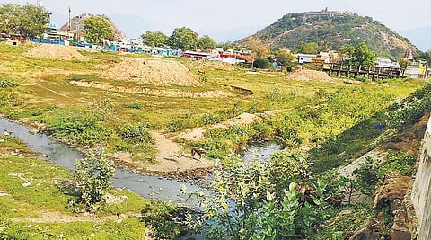 சுகாதாரக்கேட்டின் பிடியில் பழநி நகரம்: பரவும் மர்ம காய்ச்சலால் பொதுமக்கள் அச்சம்﻿﻿