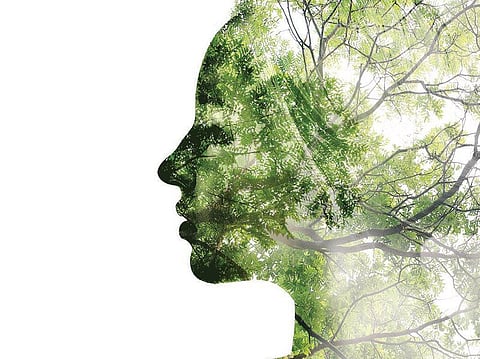 கண்ணீரும் புன்னகையும்: மரங்களை நேசித்ததால் எரிக்கப்பட்ட பெண்