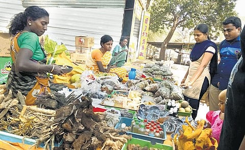 வெள்ளியங்கிரி மலை டூ சென்னை: பழங்குடி மூலிகைகளுக்குக் கூடும் மவுசு﻿