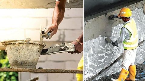 பூச்சுகளில் பல வகை﻿