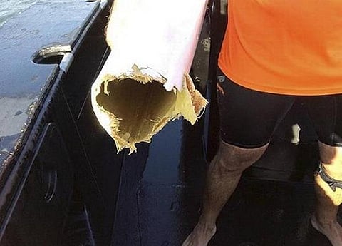 ஆஸ்திரேலியாவில் சுறா மீனிடமிருந்து தப்பிய நபர் மீட்பு