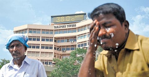 கோடை வெயில் இயல்பைவிட அதிகரிக்கும்﻿: சிக்கன், கருவாடு வேண்டாம்; தினமும் 5 லிட்டர் தண்ணீர் குடிக்க டாக்டர் அறிவுரை﻿