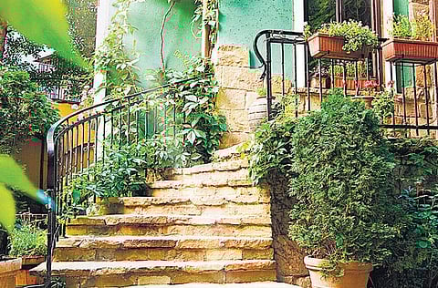 ஆரோக்கியம் தரும் தோட்டக் கலை