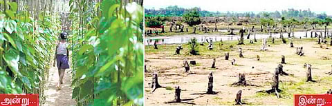 போஸ்கோ வரலாற்றுப் பிழை