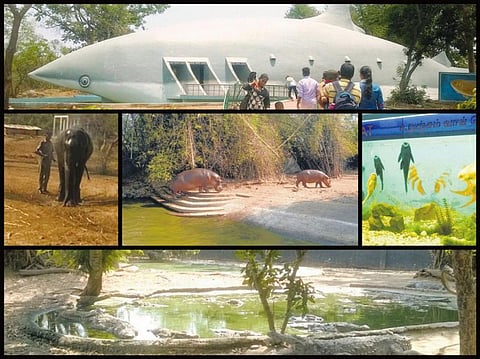 வண்டலூர் போவோமா?