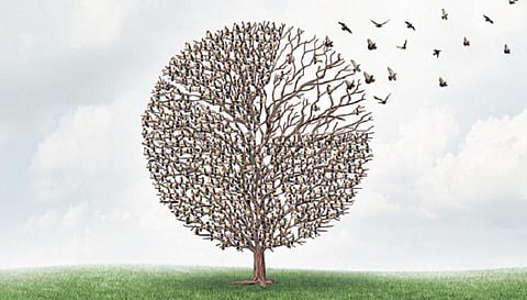 ஆறு பொதுத்துறை நிறுவனங்களின் பங்குகளை விலக்கிக்கொள்ள மத்திய அரசு திட்டம்﻿