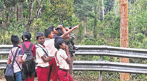 பறவைகள் கணக்கெடுப்புடன் அவற்றின் வாழ்வியல் குறித்தும் ஆராயும் மாணவர்கள்﻿: சூழலியல் கல்விக்கு ஊக்கமளிக்கும் வால்பாறை அரசுப் பள்ளி﻿