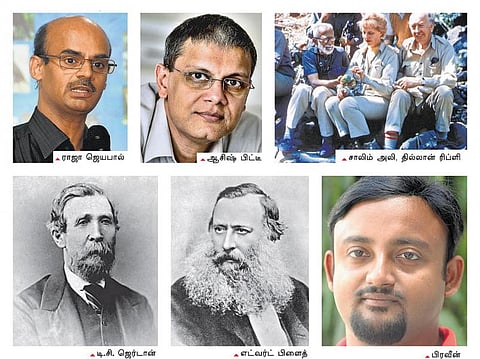 எண்ணில் அடங்கிய பறவைகள்!﻿