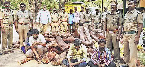 கிருஷ்ணகிரி அருகே செம்மரம் கடத்திய 4 பேர் கைது