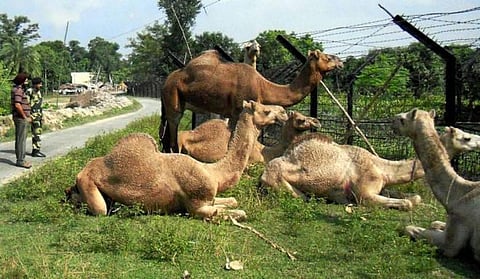 பாதுகாப்புப்படை வீரர்கள் பிரச்சினைகளை ஆராய குழு﻿: மத்திய உள்துறை அமைச்சகம் முடிவு﻿