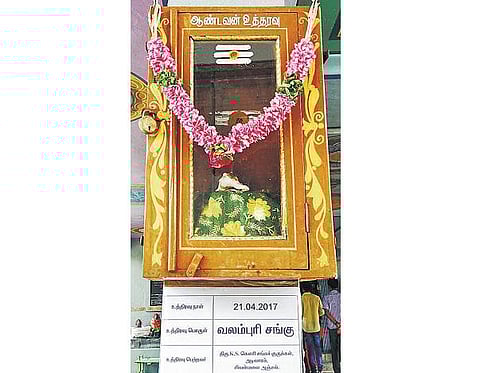 காங்கயம் சிவன்மலை கோயில்﻿ ‘﻿ஆண்டவன் உத்தரவு’ பெட்டியில் வலம்புரி சங்கு﻿