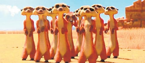 கீரியா, பாறு கழுகா?