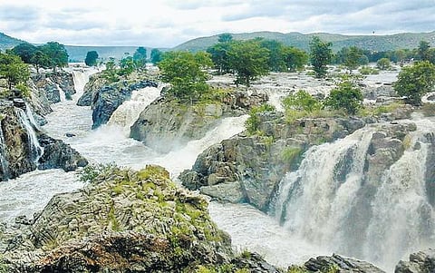 முற்றிலும் வறண்டுபோனதால்﻿ சிறப்பு சுற்றுலா பட்டியலில் இருந்து ஒகேனக்கல் அருவி நீக்கம்﻿