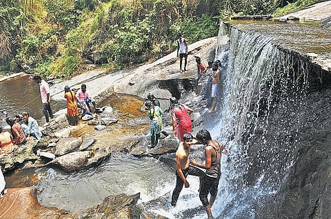 வறட்சியிலும் மூடப்படாத கோவை குற்றாலம்﻿ - நீரின்றித் தவிக்கும் வன விலங்குகள்: இயற்கை ஆர்வலர்கள் அதிருப்தி﻿