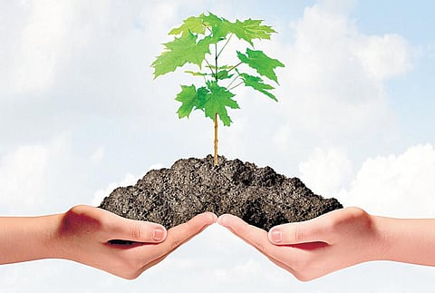 விபிஎப் தற்போதைய சிறந்த வாய்ப்பு