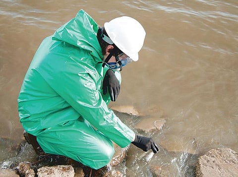 துறை அறிமுகம்: சூழலியல் நண்பனாகலாம்!﻿﻿