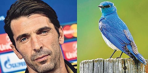 ஊர்ப் புதிர் 06: மிதக்கும் நகரம் உள்ள நாடு!﻿