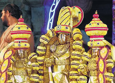 ஏழுமலையானுக்கு படைக்கப்படும் நைவேத்தியங்கள் என்ன?﻿ - ருசிகர தகவல்கள் வெளியானது﻿