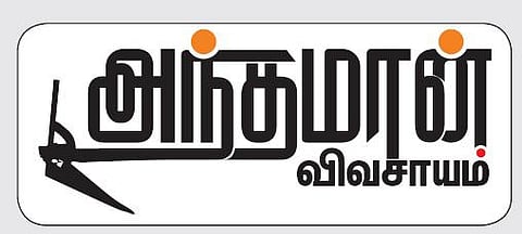 அந்தமான் விவசாயம் 33: கிராம்பு: எதிர்காலத்தின் பணவங்கி﻿