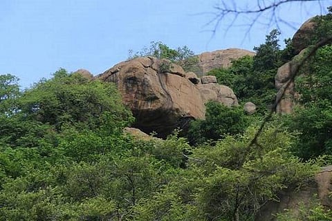 திரிசூலகிரி: ராஜராஜ சோழனின் அமைச்சர் உருவாக்கிய பர்வதமலை நகரம் கண்டுபிடிப்பு