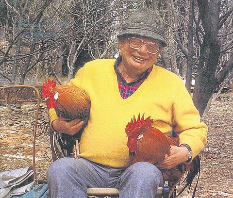 ஒரு மலைவாசஸ்தலம் ஒரு எழுத்தாளர்﻿﻿