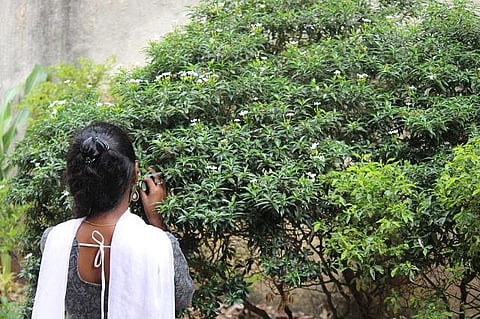 உங்கள் வீட்டில் கிருஷ்ணா இருக்கிறானா?