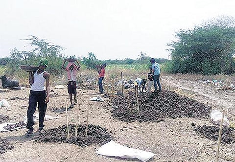 கோடை விடுமுறையில் கோயில் சீரமைப்பு, மரம் வளர்ப்பில் ஈடுபடும் சிறுவர்கள்﻿: பயனுள்ள பணியில் ஈடுபட்டுள்ளதாக பெருமிதம்﻿﻿