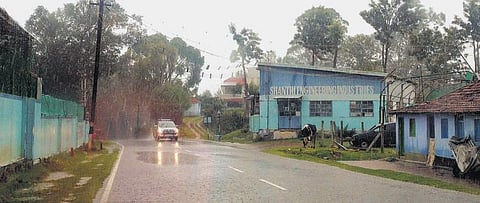 தமிழகத்தில் நடப்பு ஆண்டு﻿ வடகிழக்கு பருவமழை அதிகம் பெய்ய வாய்ப்பு﻿: இந்திய மண், நீர் வளப் பாதுகாப்பு நிறுவன விஞ்ஞானி தகவல்﻿