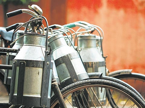 தனியார் நிறுவன பாலில் கலப்படம்﻿: சிபிஐ விசாரிக்க உத்தரவிடக் கோரி பொதுநல வழக்கு தாக்கல்﻿