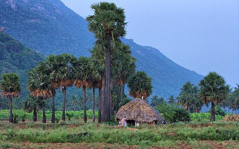 இறைமை இயற்கை 03: அன்பில் குறை வைக்காத நிலம்