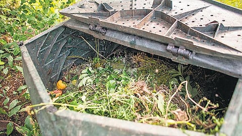 மண்புழு உரம் தயாரிப்பது எப்படி?