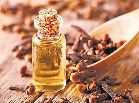 அந்தமான் விவசாயம் 36: உற்பத்திக்கு ஊக்கம்